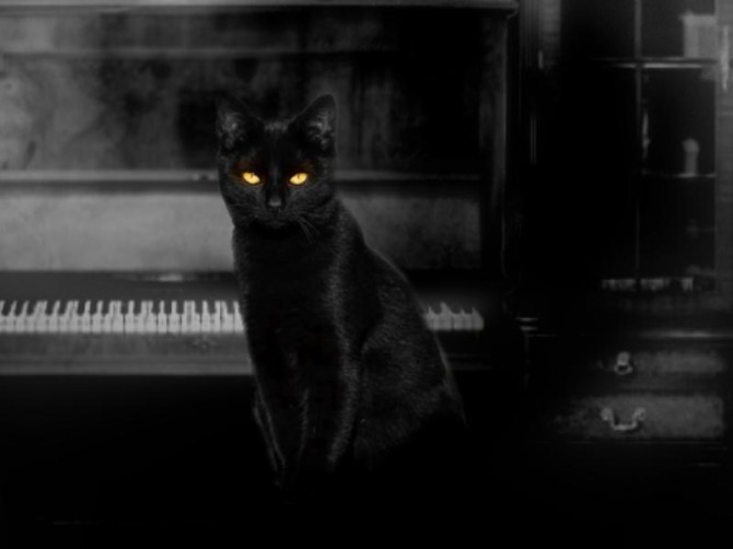The Cat Lady