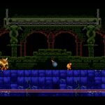 Tiny Barbarian DX : Boss