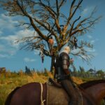 The Witcher 3 : Pendus