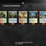 Magic duels : les terrains